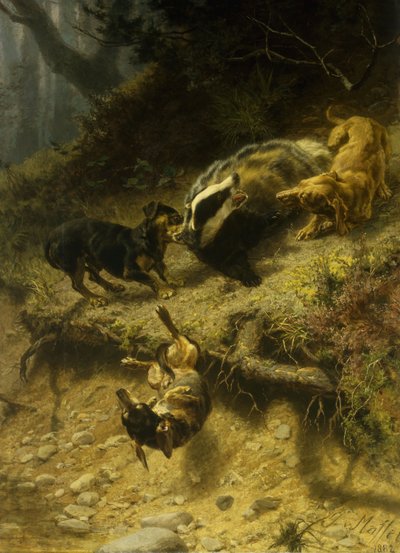 Bassotti su un tasso, 1882 da Guido von Maffei
