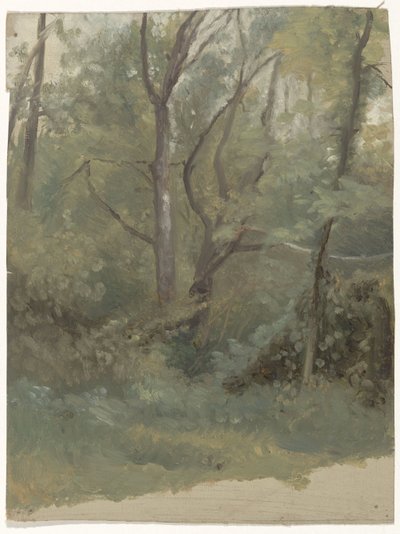 Veduta del bosco da Guillaume Anne van der Brugghen