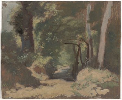 Strada nel bosco da Guillaume Anne van der Brugghen