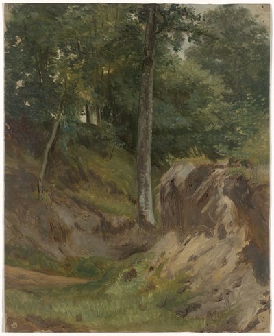 Ruscello secco nel bosco da Guillaume Anne van der Brugghen