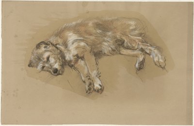 Cane sdraiato da Guillaume Anne van der Brugghen