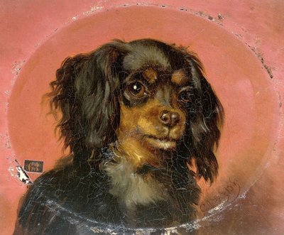 Ritratto di un Cucciolo da Guillaume Anne van der Brugghen