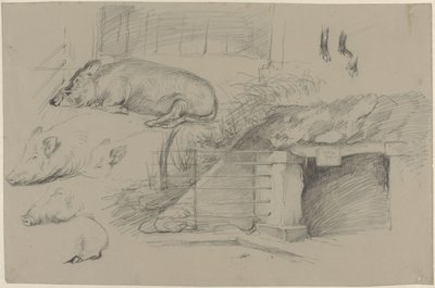 Foglio di schizzi con studi di maiali nel parco dei cinghiali ad Artis da Guillaume Anne van der Brugghen