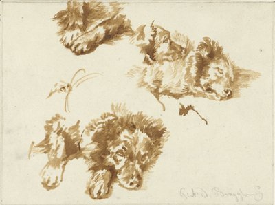 Studi di un cane da Guillaume Anne van der Brugghen