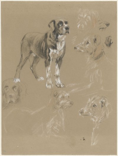 Studi di un cane da Guillaume Anne van der Brugghen