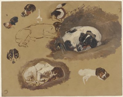 Studi di un Cane da Caccia da Guillaume Anne van der Brugghen