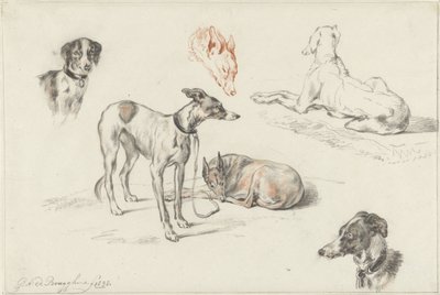 Studi di cani da Guillaume Anne van der Brugghen