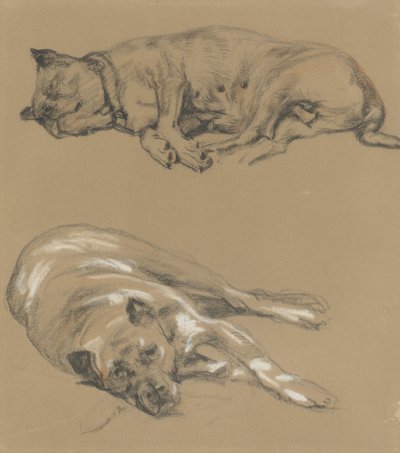 Due studi di un cane sdraiato da Guillaume Anne van der Brugghen