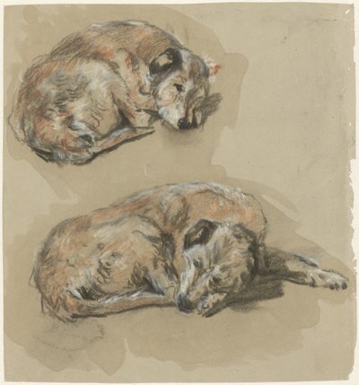 Due studi di un cane sdraiato da Guillaume Anne van der Brugghen