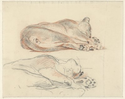 Due studi di una tigre sdraiata da Guillaume Anne van der Brugghen