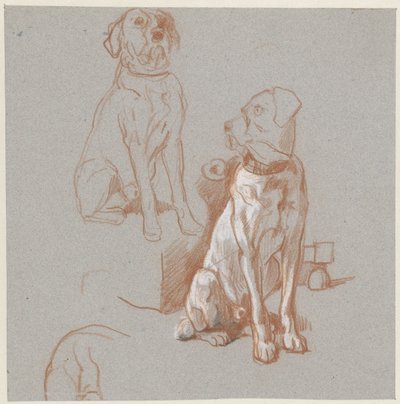 Due studi di un cane seduto da Guillaume Anne van der Brugghen