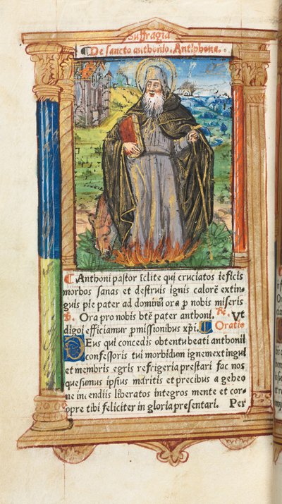 Libro d