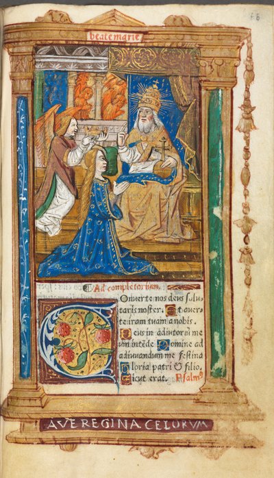 Libro d
