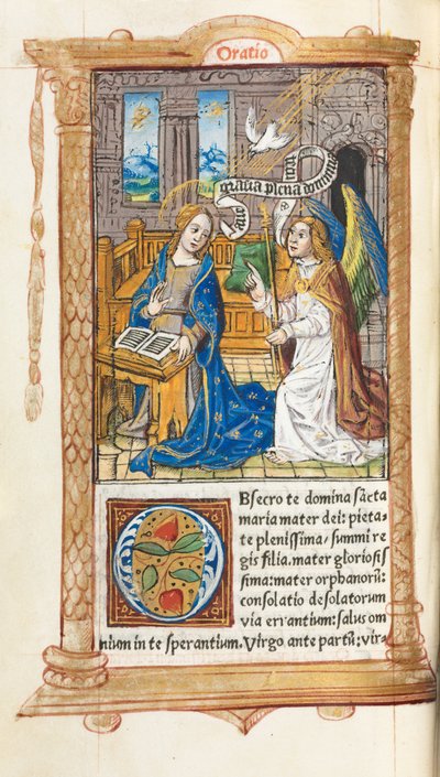 Libro d