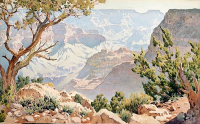 Grand Canyon da Gunnar Widforss
