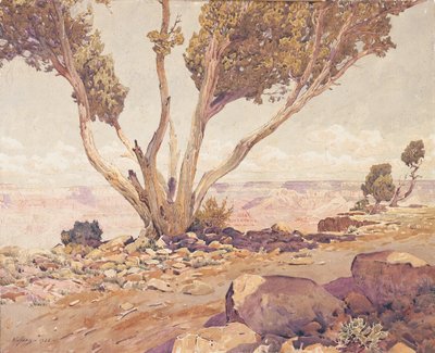 Grand Canyon da Gunnar Widforss