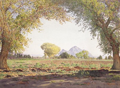 La valle del fiume Salato da Gunnar Widforss