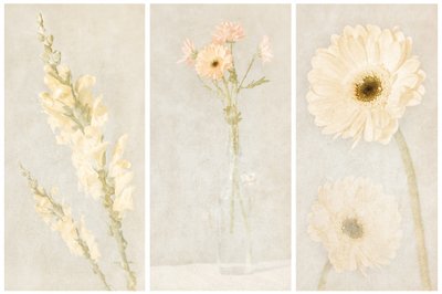 Trittico floreale sbiadito da Gustav Davidsson