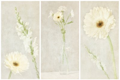 Morbidi fiori bianchi da Gustav Davidsson