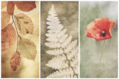 Trio Vintage Nature da Gustav Davidsson