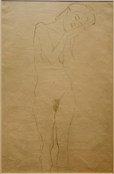 Nudo di ragazza di fronte, le mani sulle guance da Gustav Klimt