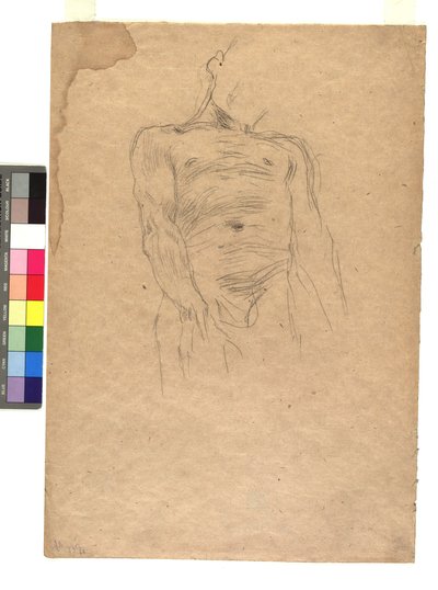 Torso maschile da Gustav Klimt