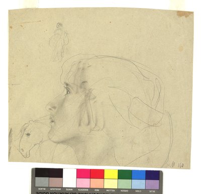 Weiblicher Kopf im Profil nach links, Pferdekopf im Profil, Figurenstudie da Gustav Klimt