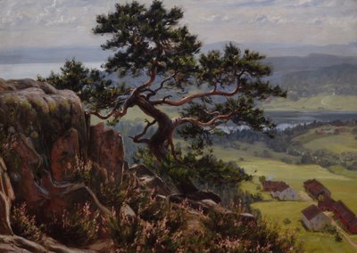 Vista su Vardåsen da Gustav Wentzel