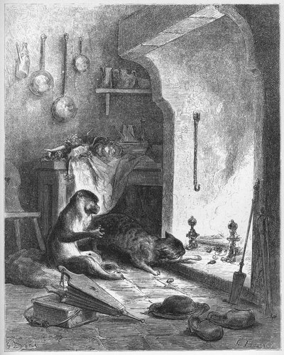 La scimmia e il gatto - dalle 