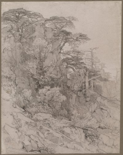 Alberi su una Collina Rocciosa da Gustave Achille Guillaumet