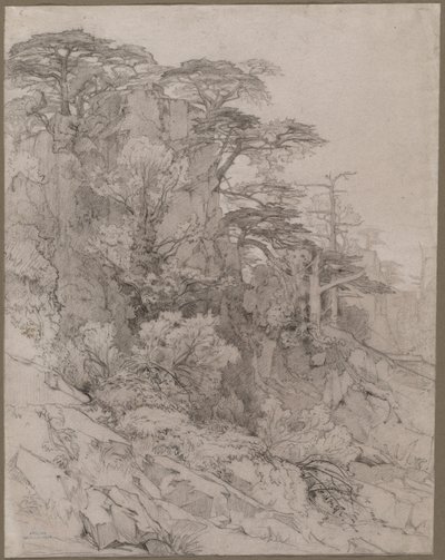 Alberi su un pendio roccioso da Gustave Achille Guillaumet