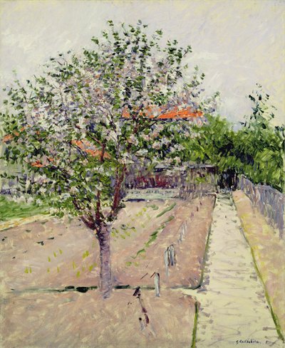Albero di Melo in Fiore, c.1885 da Gustave Caillebotte