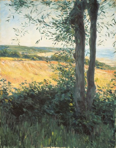 Vicino al mare, Normandia, 1884 da Gustave Caillebotte