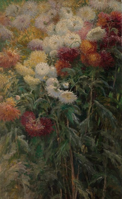 Crisantemi nel giardino a Petit-Gennevilliers da Gustave Caillebotte