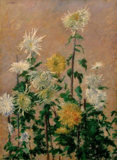 Crisantemi bianchi e gialli da Gustave Caillebotte