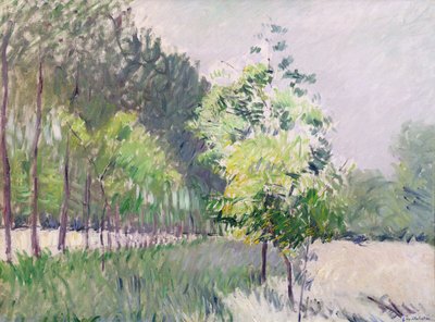 Frutteto e viale di alberi da Gustave Caillebotte