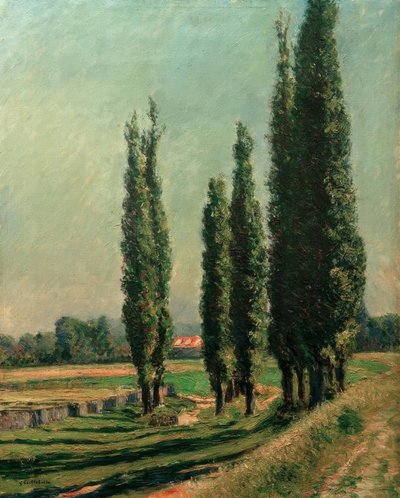 Pioppi sulla diga di Argenteuil, al Petit Gennevilliers da Gustave Caillebotte