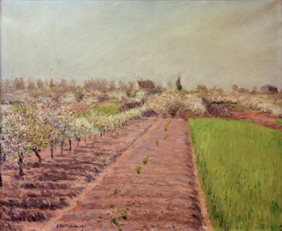 Meli in fiore, collina di Colombes da Gustave Caillebotte