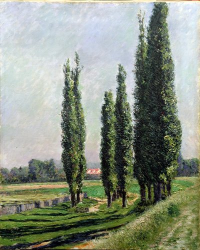 Pioppi sulla riva del fiume ad Argenteuil da Gustave Caillebotte