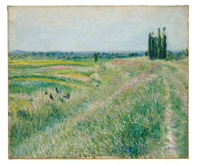 La pianura di Gennevilliers, gruppo di pioppi, c.1883 da Gustave Caillebotte