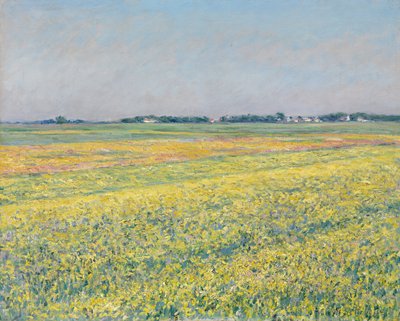La pianura di Gennevilliers, i campi gialli da Gustave Caillebotte