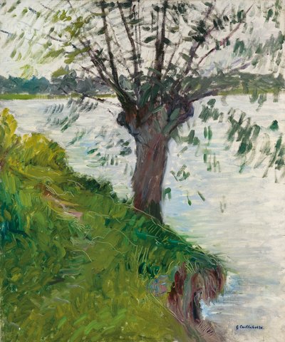 Salice sul fiume; Saule au bord de la rivière, c. 1891 da Gustave Caillebotte