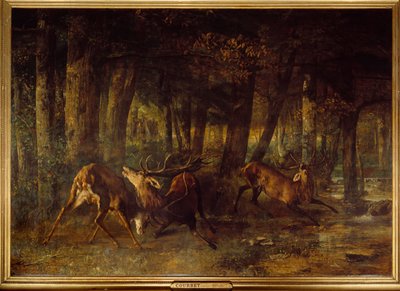 Rut primaverile, combattimento di cervi da Gustave Courbet