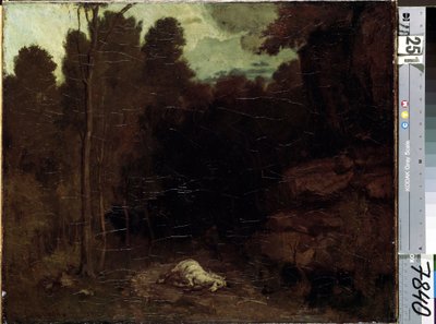Immagine sconosciuta da Gustave Courbet