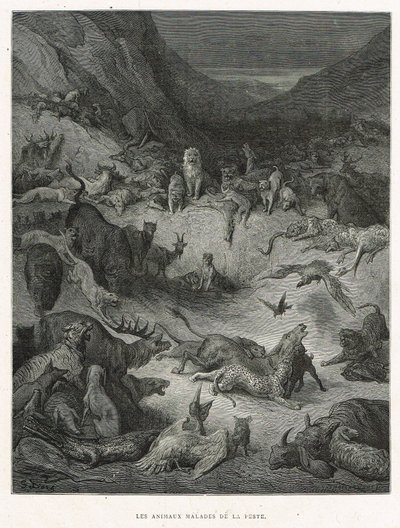 Animali malati di peste da Gustave Dore