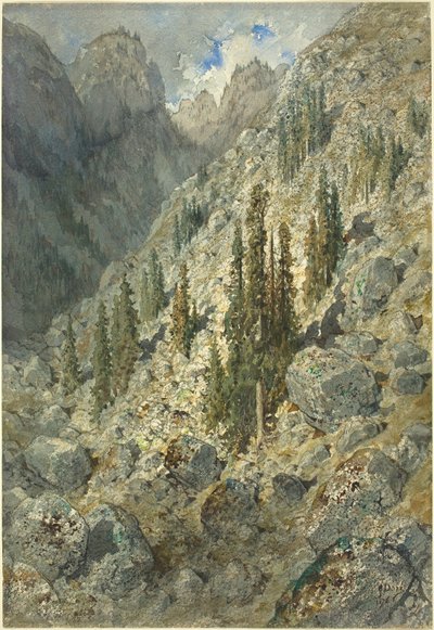 Valle alpina con alberi e massi da Gustave Dore