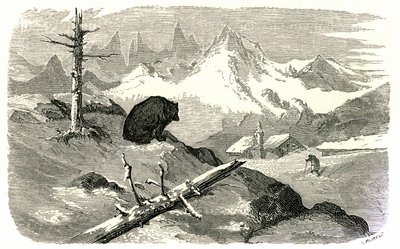 Incisione di Gustave Doré che illustra il libro "Voyage aux Pyrénées" di Hippolyte Taine, Hachette 1860. Orso che osserva un uomo dirigersi verso la sua casa in montagna. da Gustave Dore