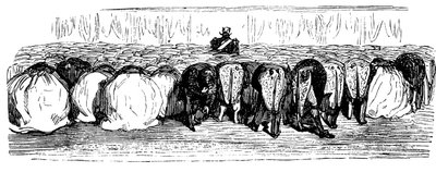 Storia della Santa Russia. Un grande ballo nel Palazzo d