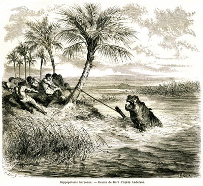 Caccia sul fiume Teoghe, affluente del Ngami. Arpione per ippopotami. Incisione di Gustave Doré illustrando 