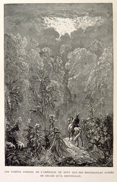 Illustrazione della foresta americana, da La leggenda di Croque-Mitaine da Gustave Dore